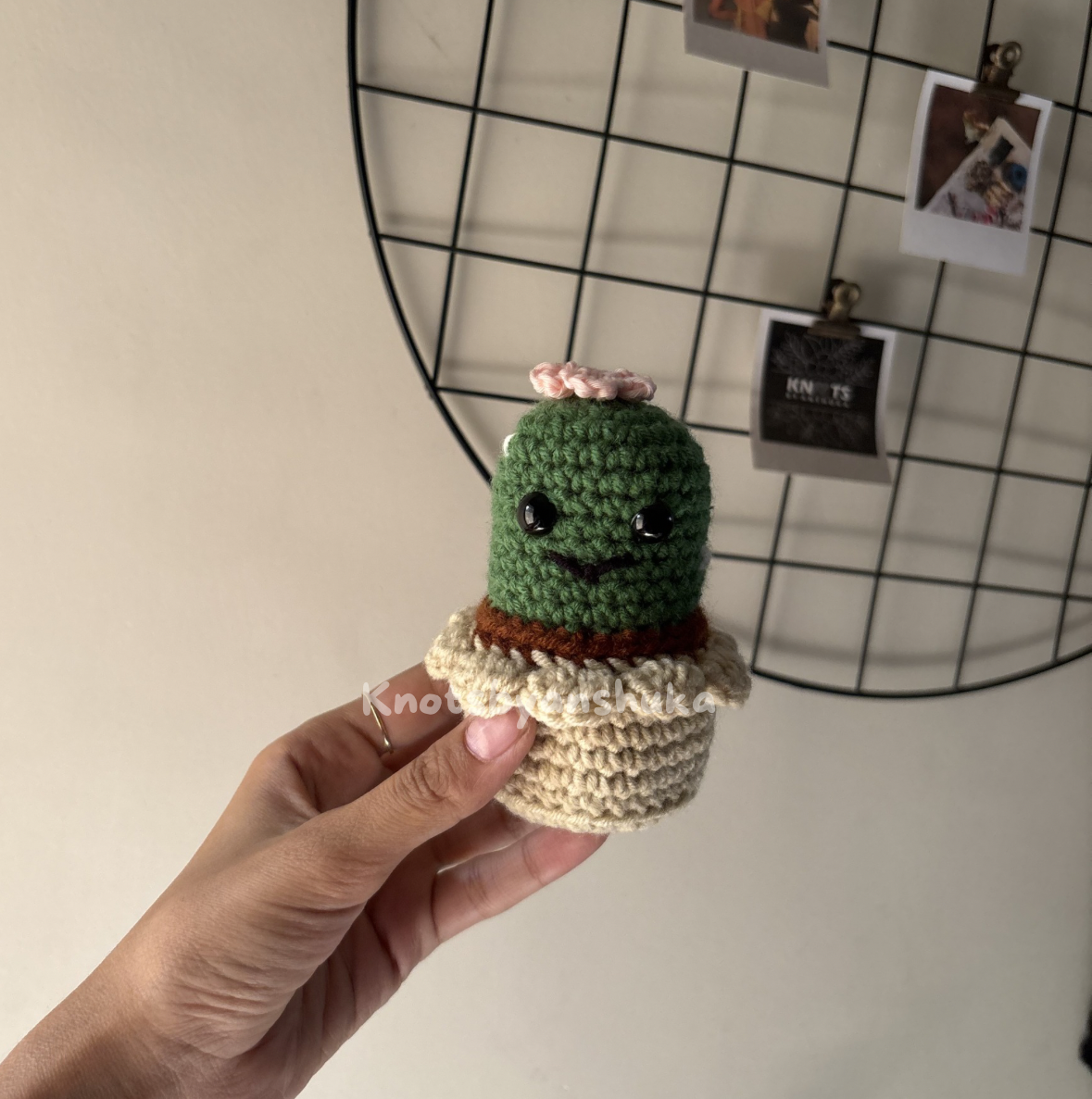 Handmade Crochet Flower Pots | Aesthetic Decor