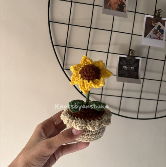 Handmade Crochet Flower Pots | Aesthetic Decor